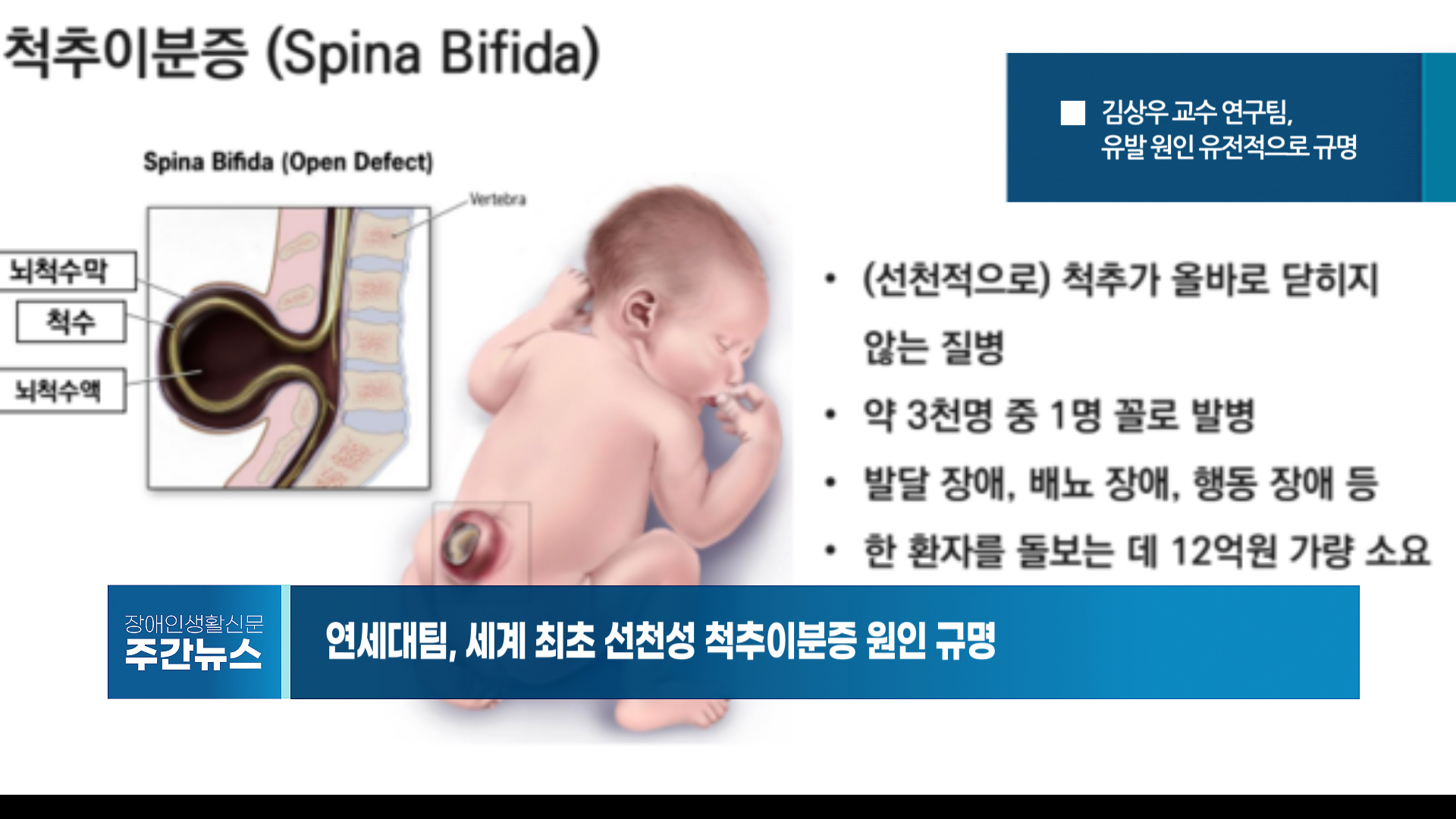 장애인생활신문 주간 뉴스 2025년 3월 28일